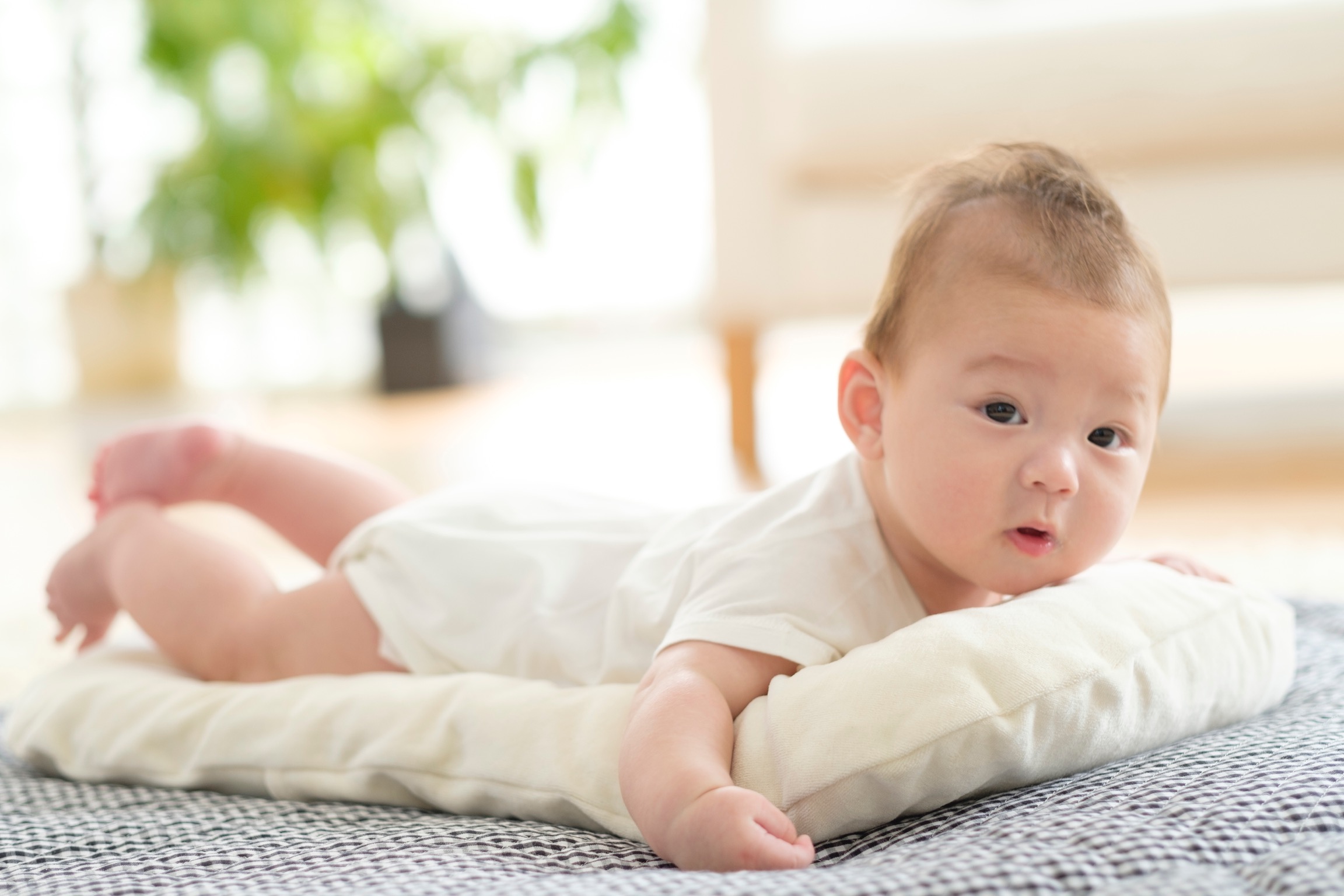 赤ちゃんのうつぶせ 腹ばい お座りの練習をサポートする 0 歳から使えるマット トッポンチーノのジョリーメゾン株式会社
